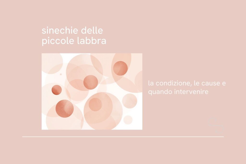 sinechie delle piccole labbra