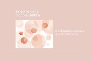 sinechie delle piccole labbra